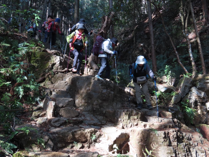 日和田山、物見山